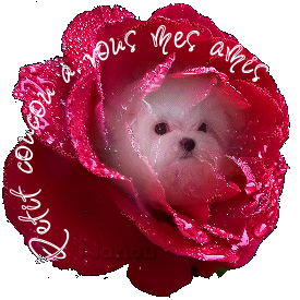 Coucou c'est moi!  bonjour et bonne journ�e � tous !!!